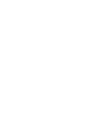 logo-wiseguise